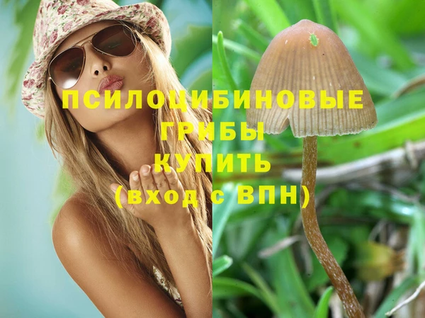 наркотики Новозыбков