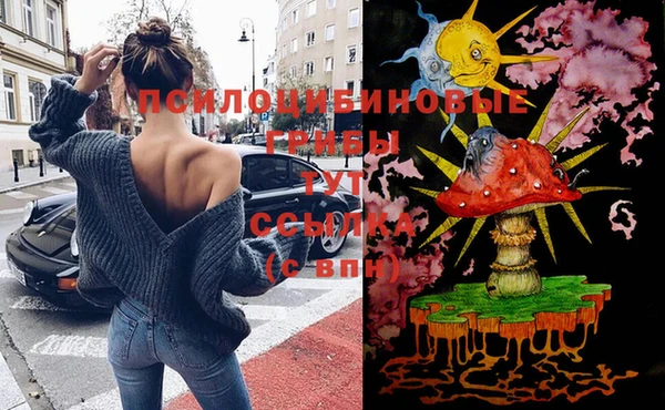 наркотики Новозыбков