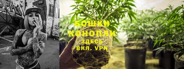 наркотики Новозыбков