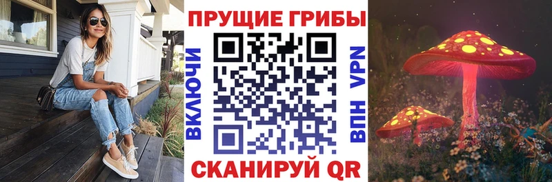 Псилоцибиновые грибы мицелий  Хабаровск 