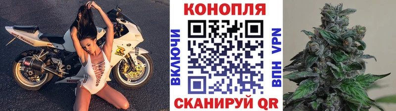 даркнет сайт  Хабаровск  МЕГА как войти  Марихуана OG Kush 